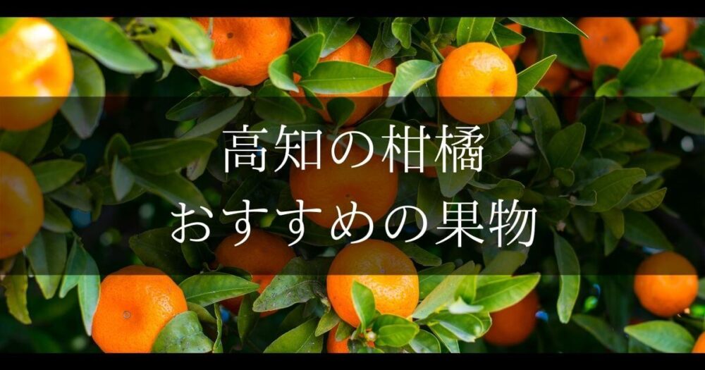 高知の柑橘系の果物 高知県民がおすすめする果物