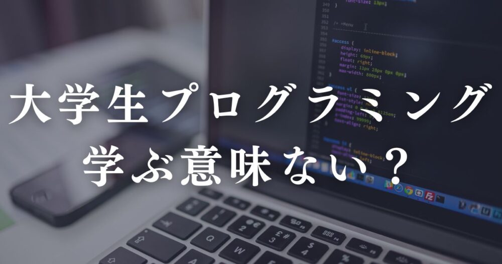 collegestudent-programming-meaningless